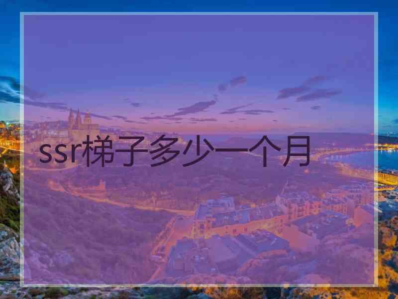 ssr梯子多少一个月