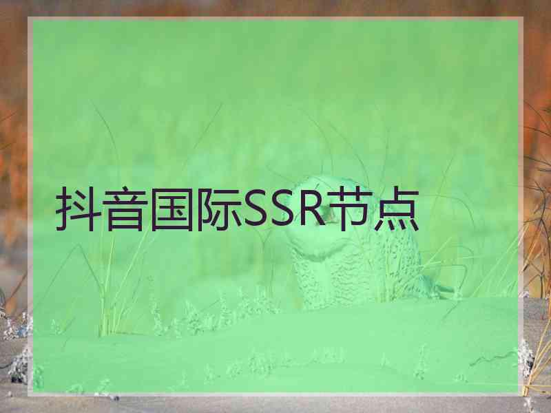 抖音国际SSR节点