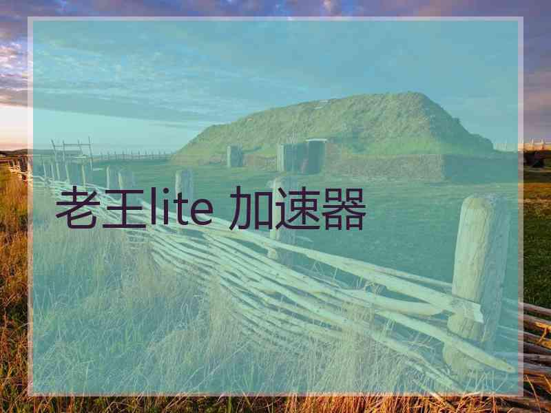 老王lite 加速器