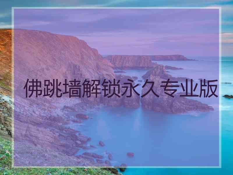 佛跳墙解锁永久专业版