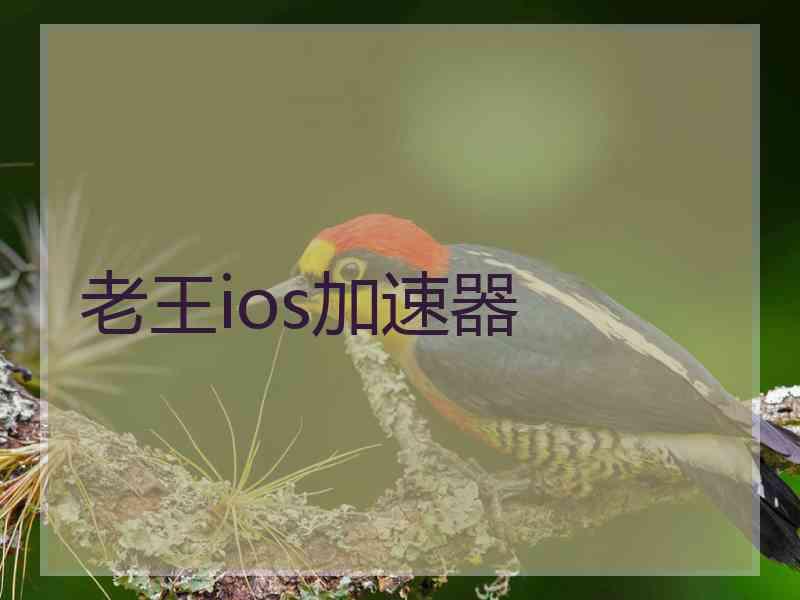 老王ios加速器