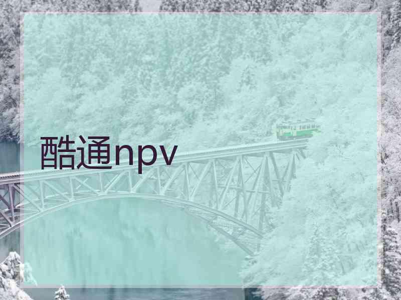 酷通npv