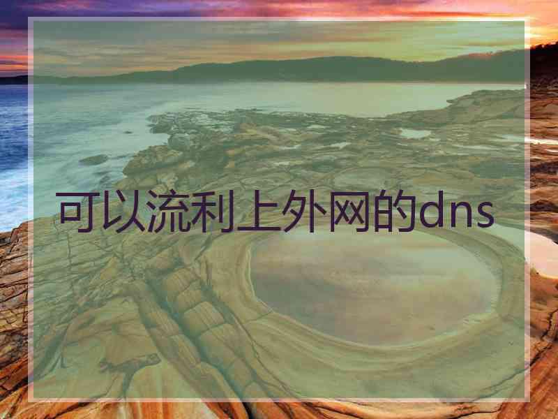 可以流利上外网的dns