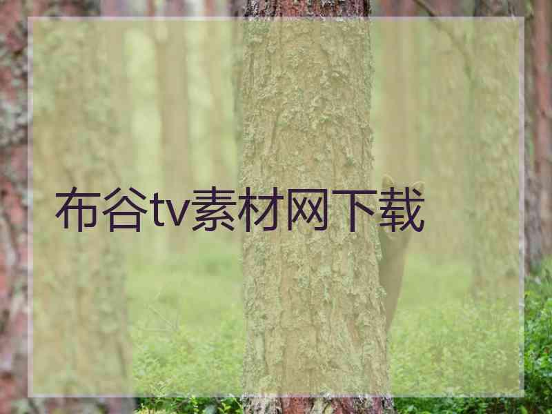 布谷tv素材网下载