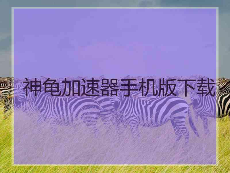 神龟加速器手机版下载