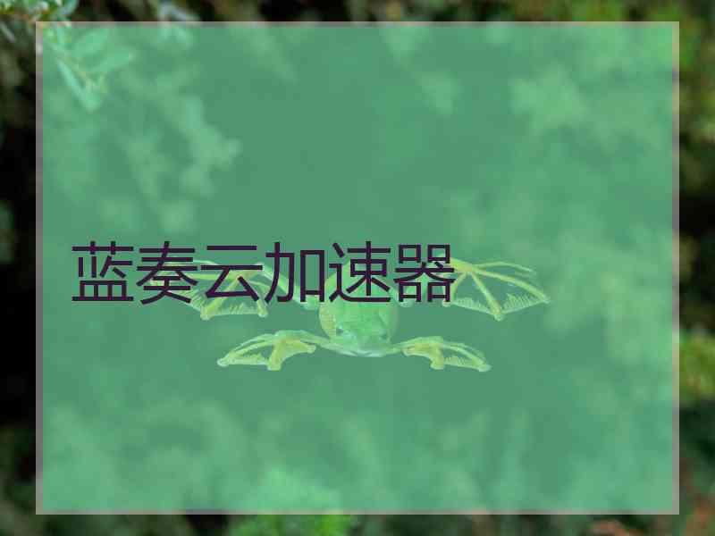 蓝奏云加速器