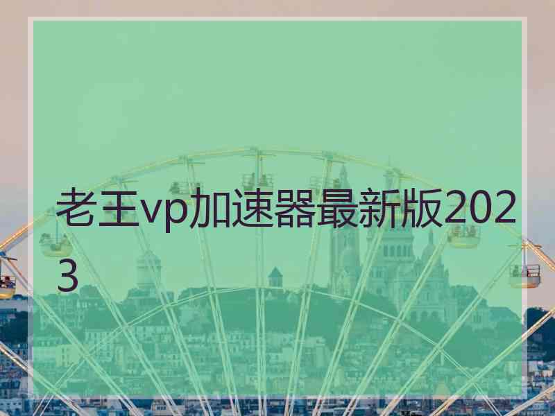 老王vp加速器最新版2023