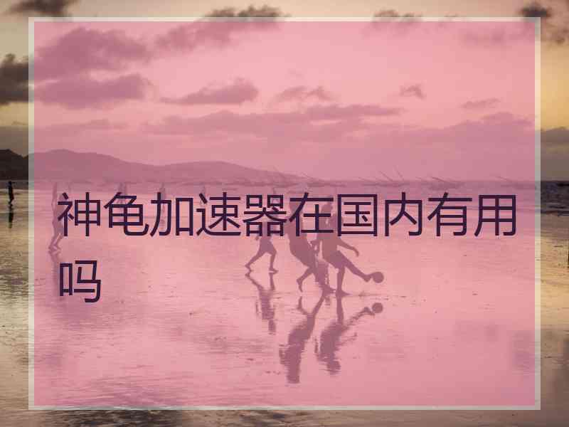 神龟加速器在国内有用吗