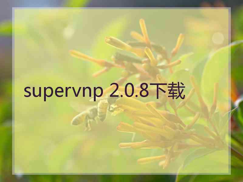 supervnp 2.0.8下载