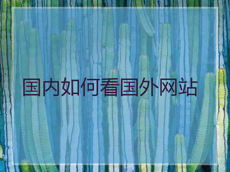 国内如何看国外网站