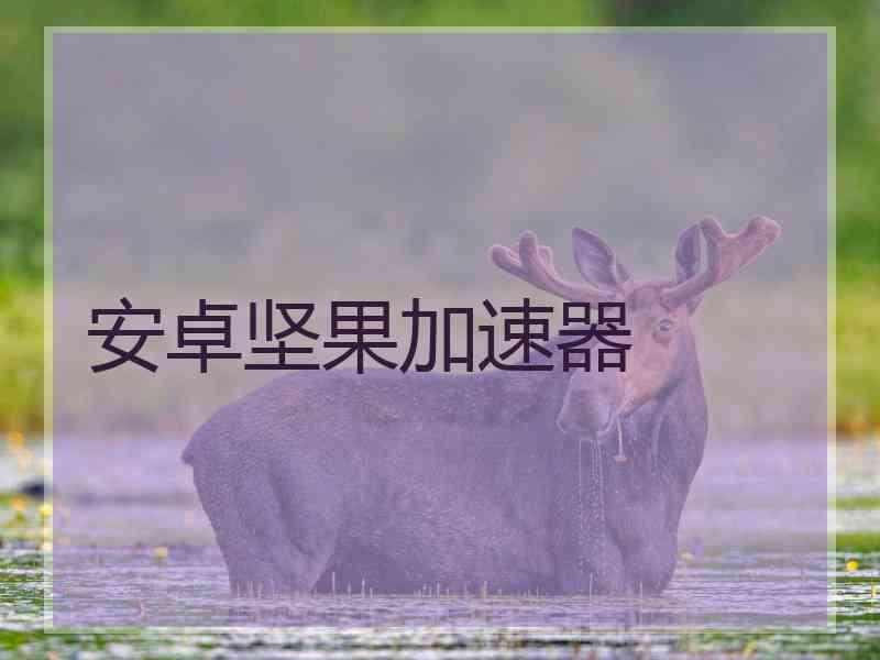 安卓坚果加速器
