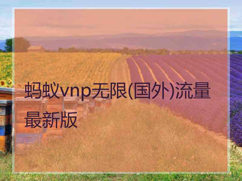 蚂蚁vnp无限(国外)流量最新版