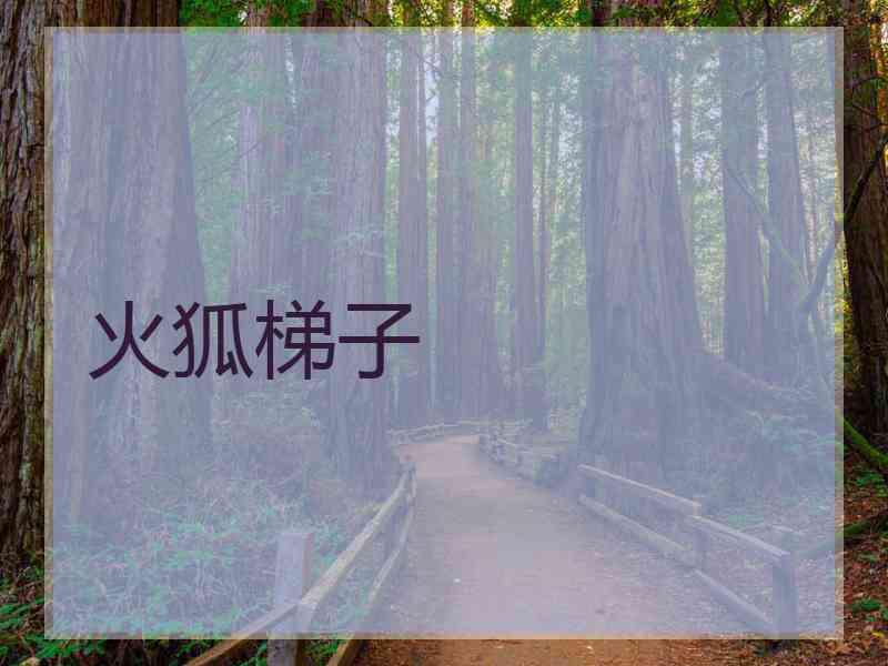 火狐梯子