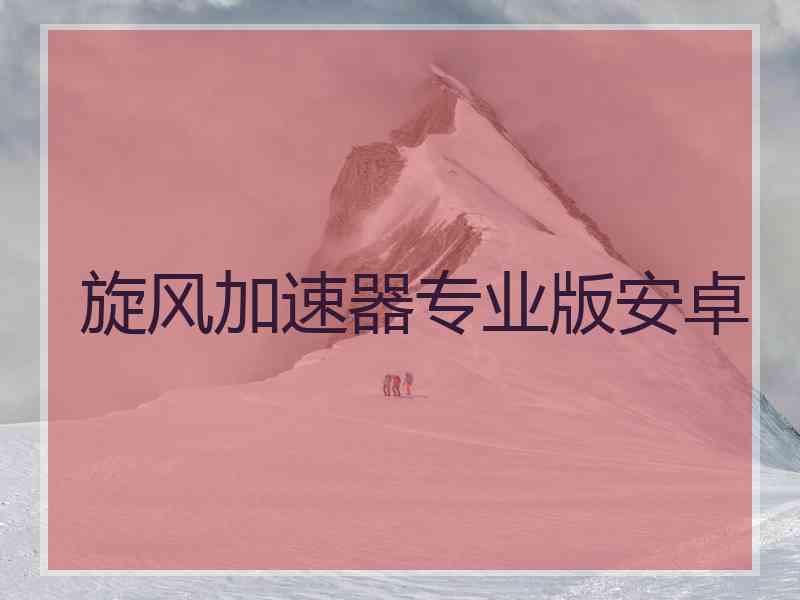 旋风加速器专业版安卓