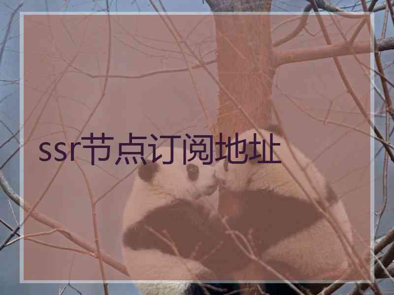 ssr节点订阅地址