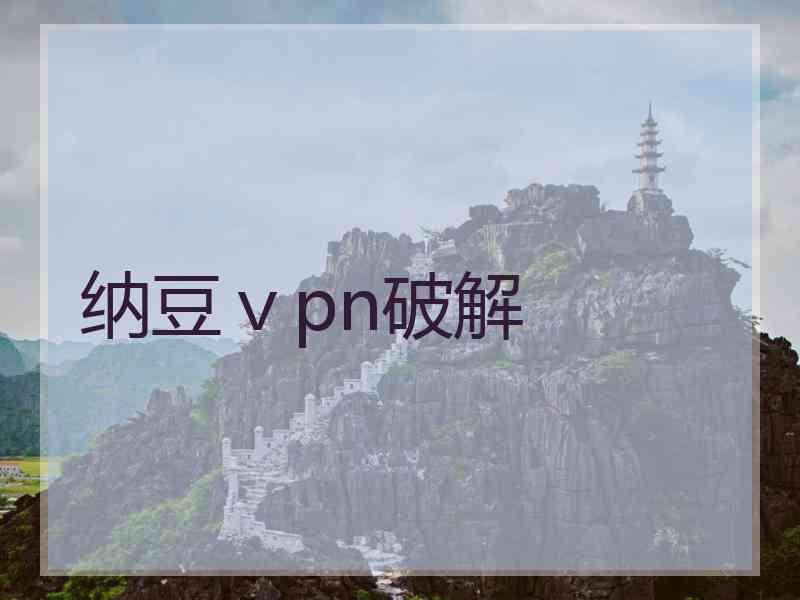 纳豆ⅴpn破解