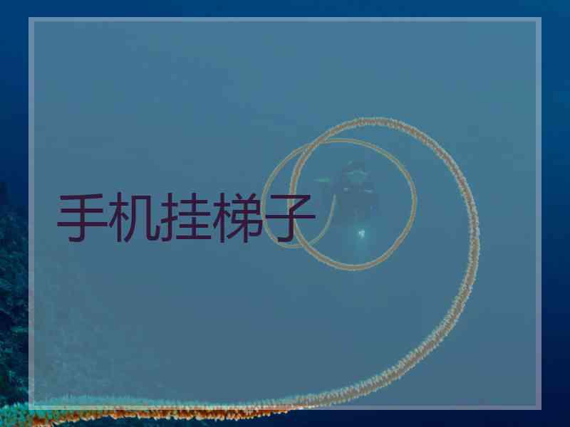 手机挂梯子