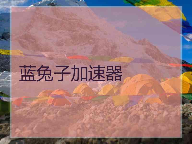 蓝兔子加速器