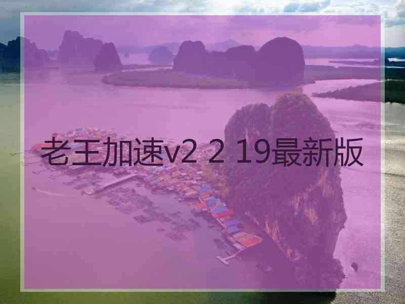 老王加速v2 2 19最新版