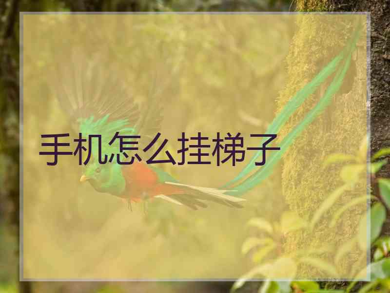 手机怎么挂梯子