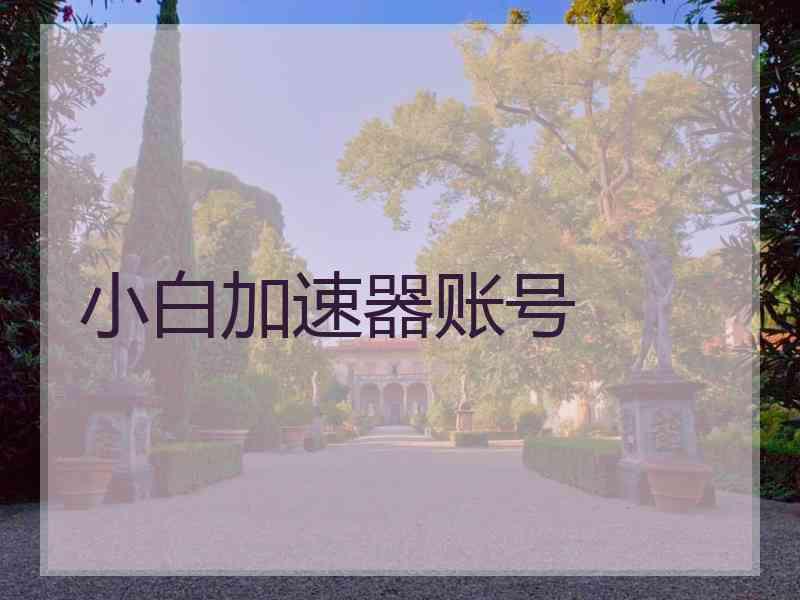 小白加速器账号