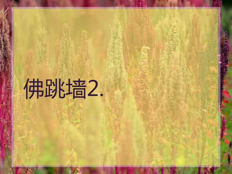 佛跳墙2.