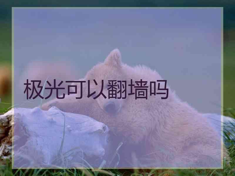 极光可以翻墙吗