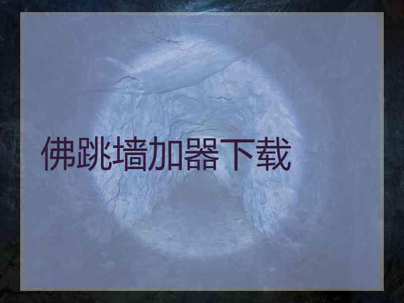 佛跳墙加器下载