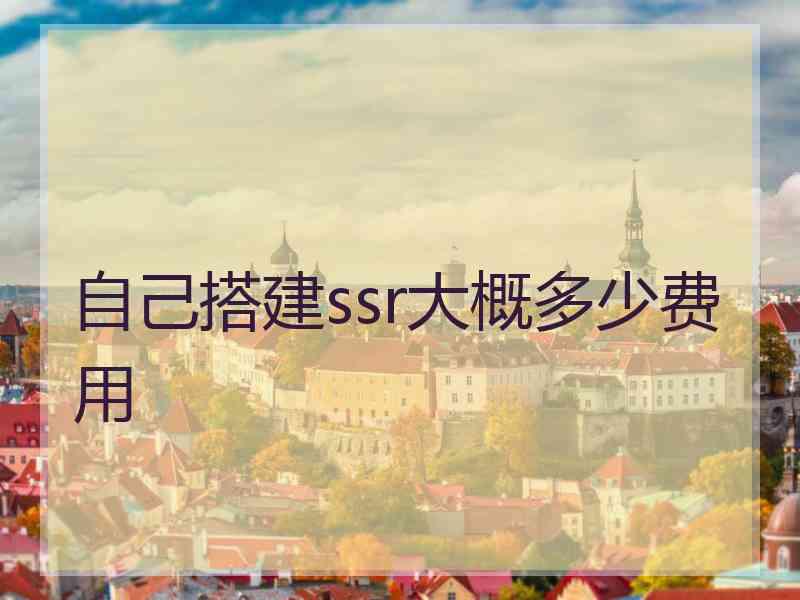 自己搭建ssr大概多少费用