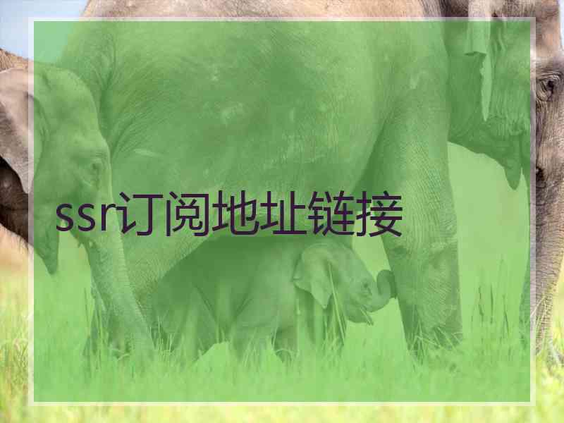 ssr订阅地址链接