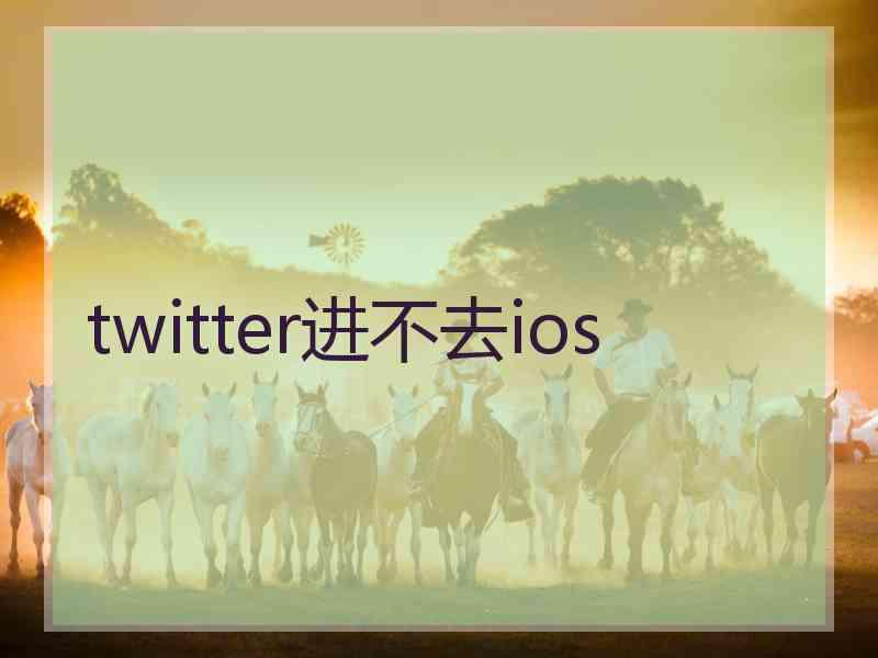 twitter进不去ios