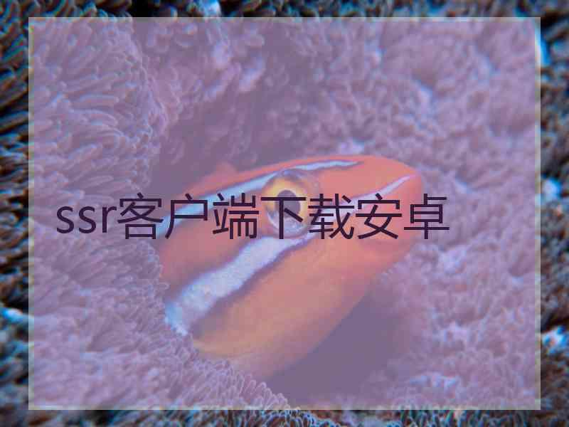 ssr客户端下载安卓