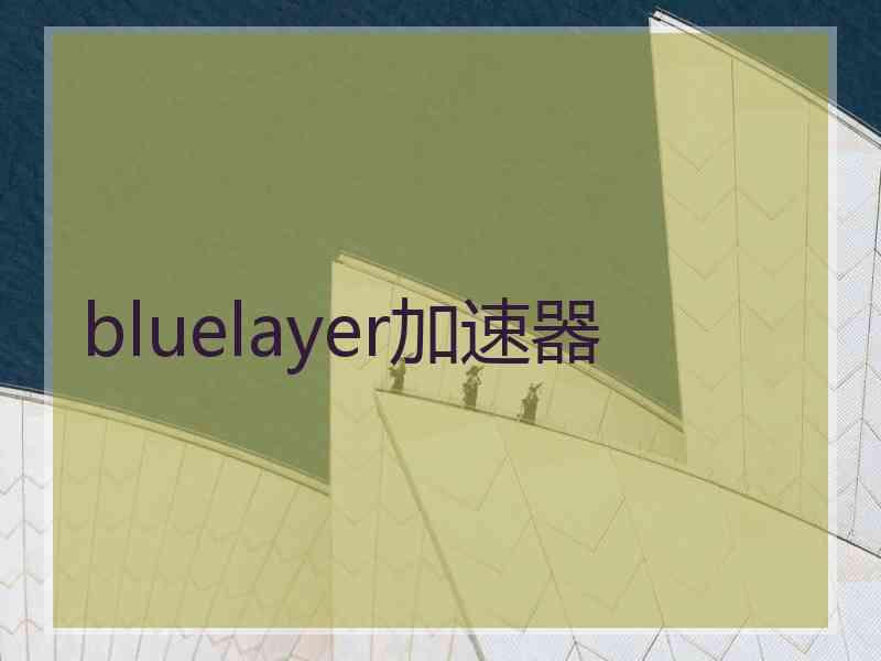 bluelayer加速器