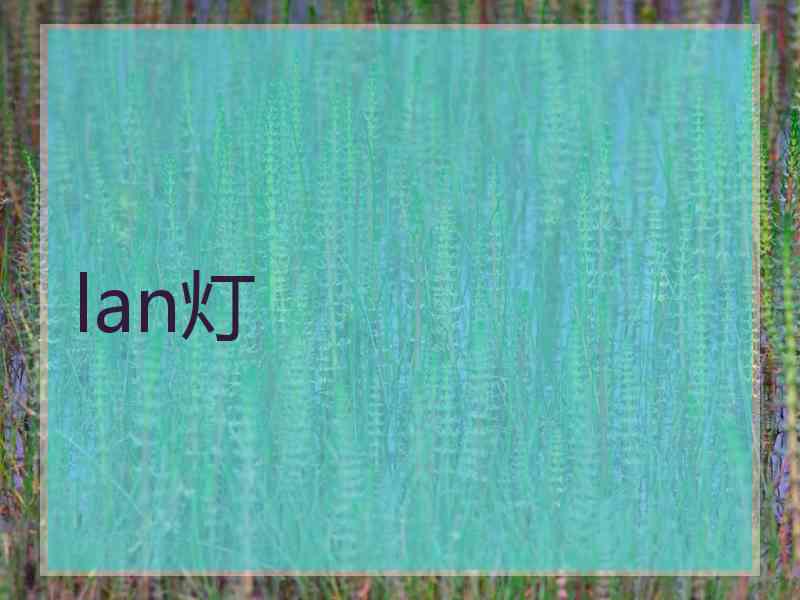 lan灯