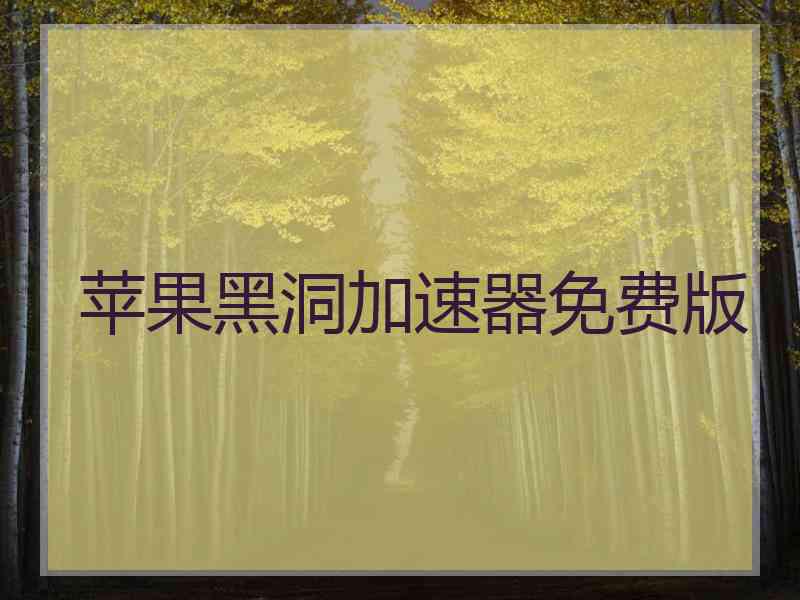 苹果黑洞加速器免费版