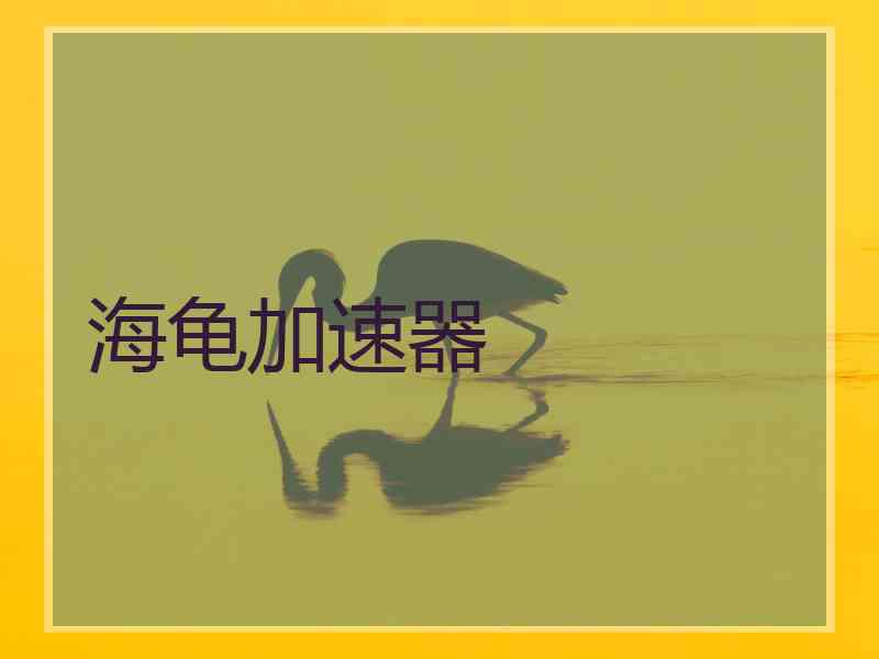 海龟加速器