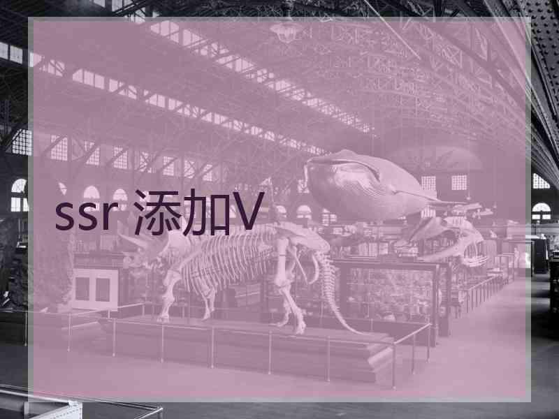 ssr 添加V