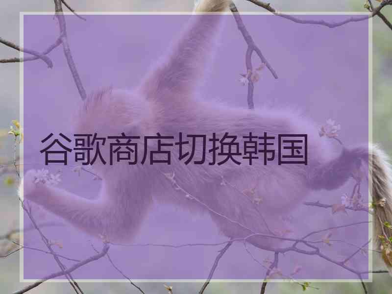 谷歌商店切换韩国
