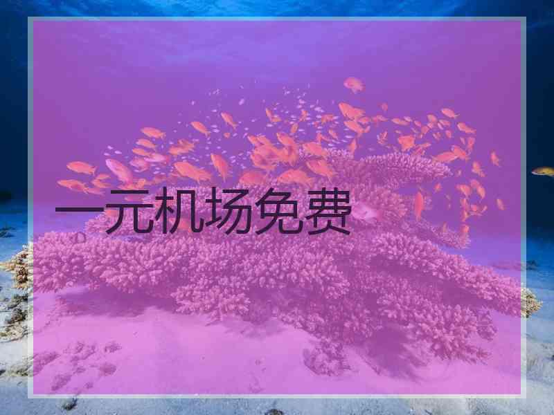 一元机场免费