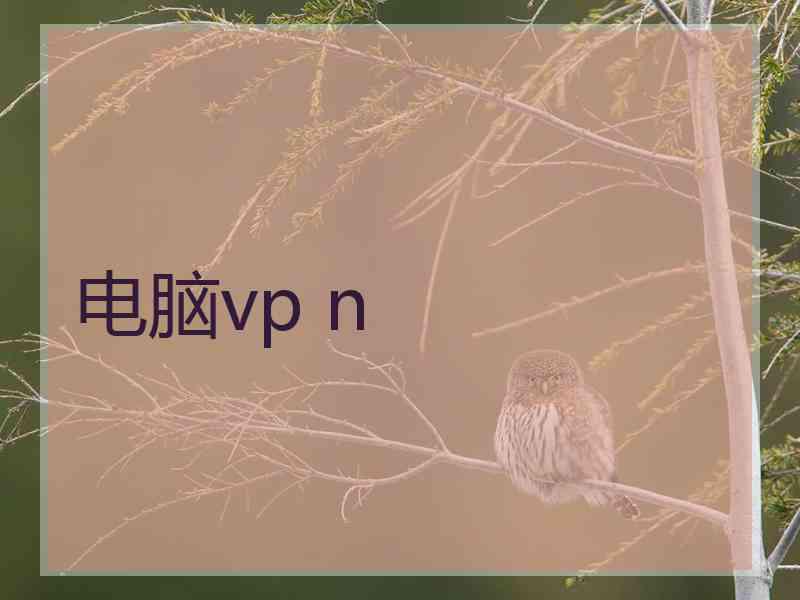 电脑vp n