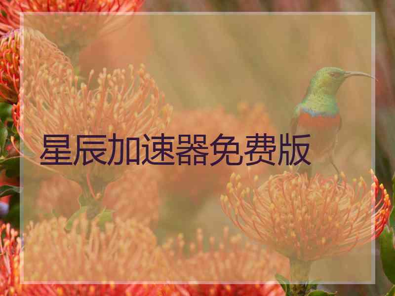星辰加速器免费版