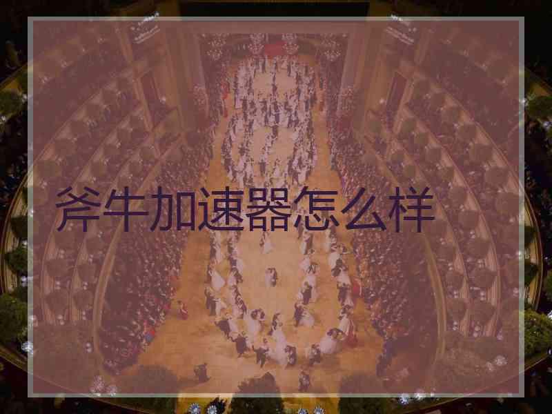 斧牛加速器怎么样