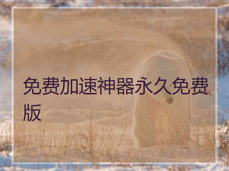 免费加速神器永久免费版