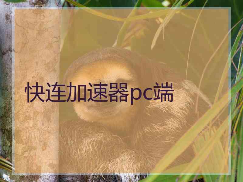 快连加速器pc端
