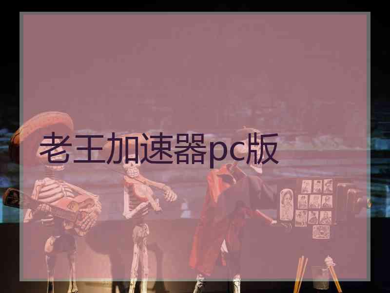 老王加速器pc版