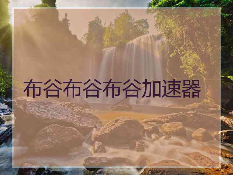 布谷布谷布谷加速器