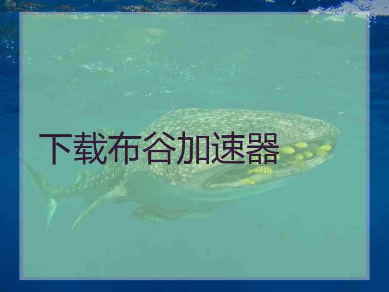 下载布谷加速器