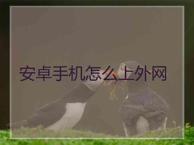 安卓手机怎么上外网