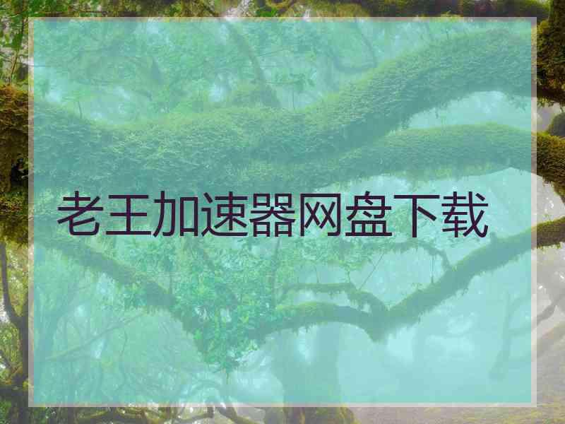 老王加速器网盘下载