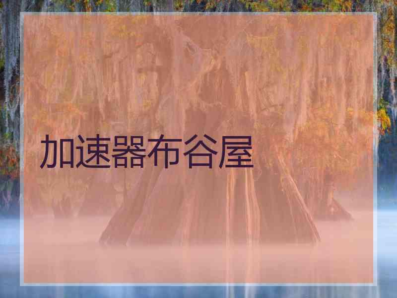 加速器布谷屋